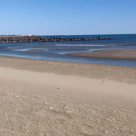 Vias-plage - Large T1 100m From The Vias