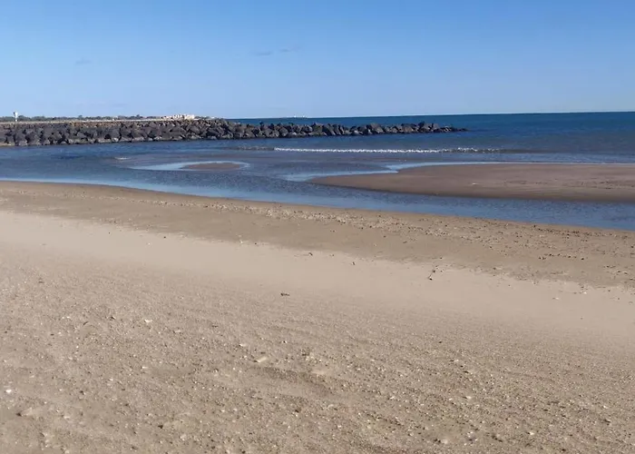 Riboleys - Grand T1 A 100m De La Vias