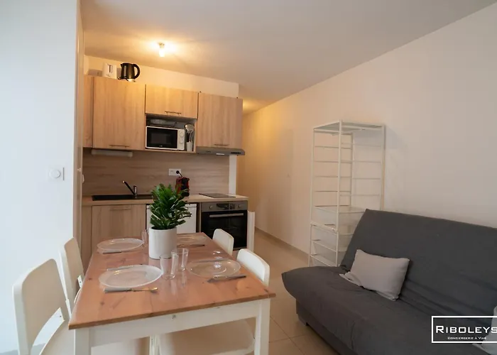 Appartement Riboleys - Grand T1 A 100m De La *