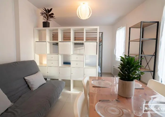 Appartement Riboleys - Grand T1 A 100m De La *